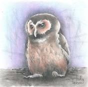 Brown Owl - Judy Imeson