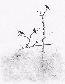 Birds in the Fog - Judy (Imeson) Horan