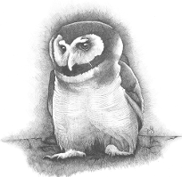 Judy (Imeson) Horan - Brown Owl
