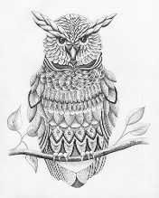 Judy (Imeson) Horan - Owl Stylized