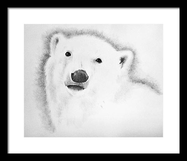 Judy (Imeson) Horan - Polar Bear - ink on vellum